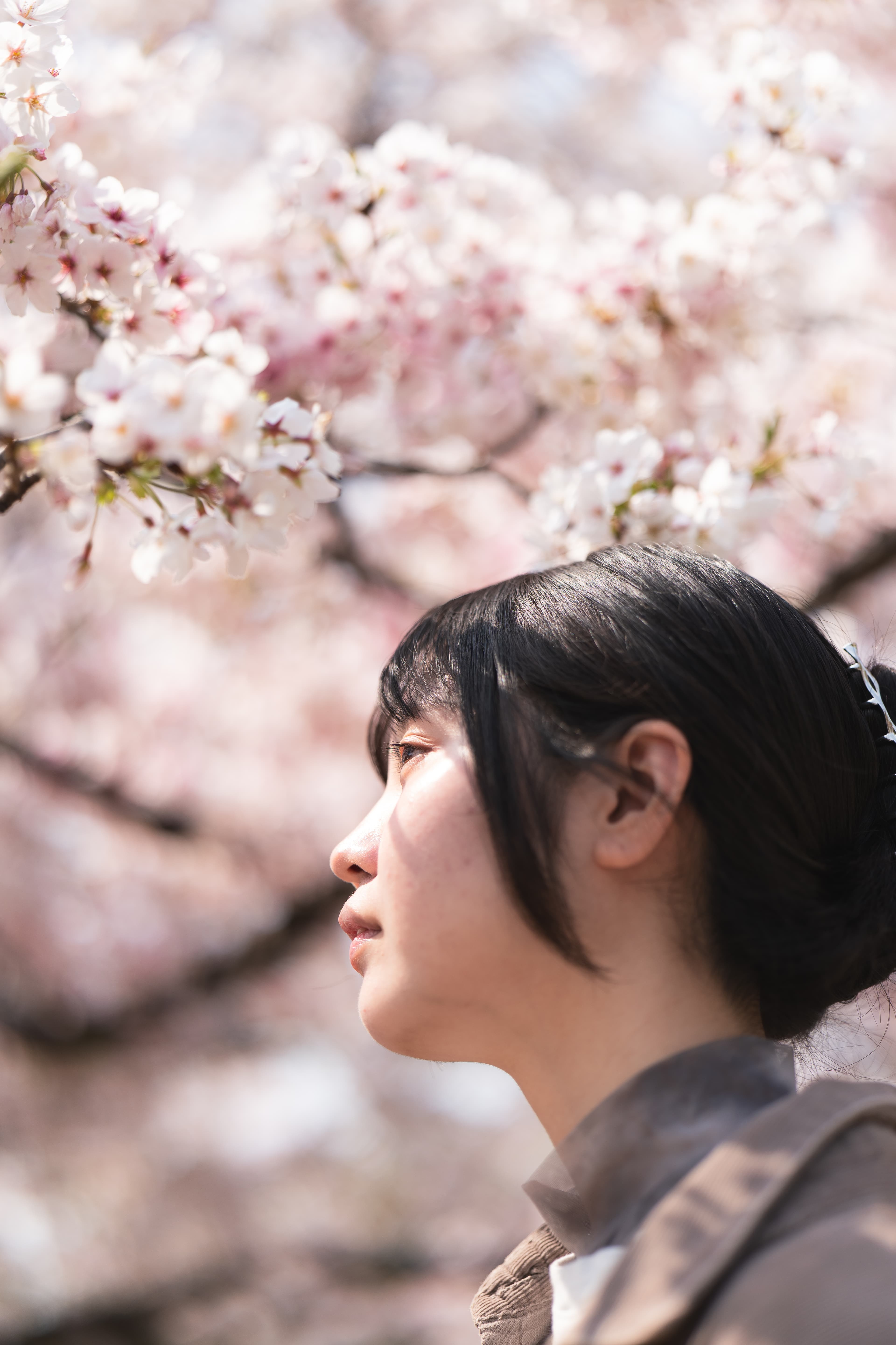 桜色
