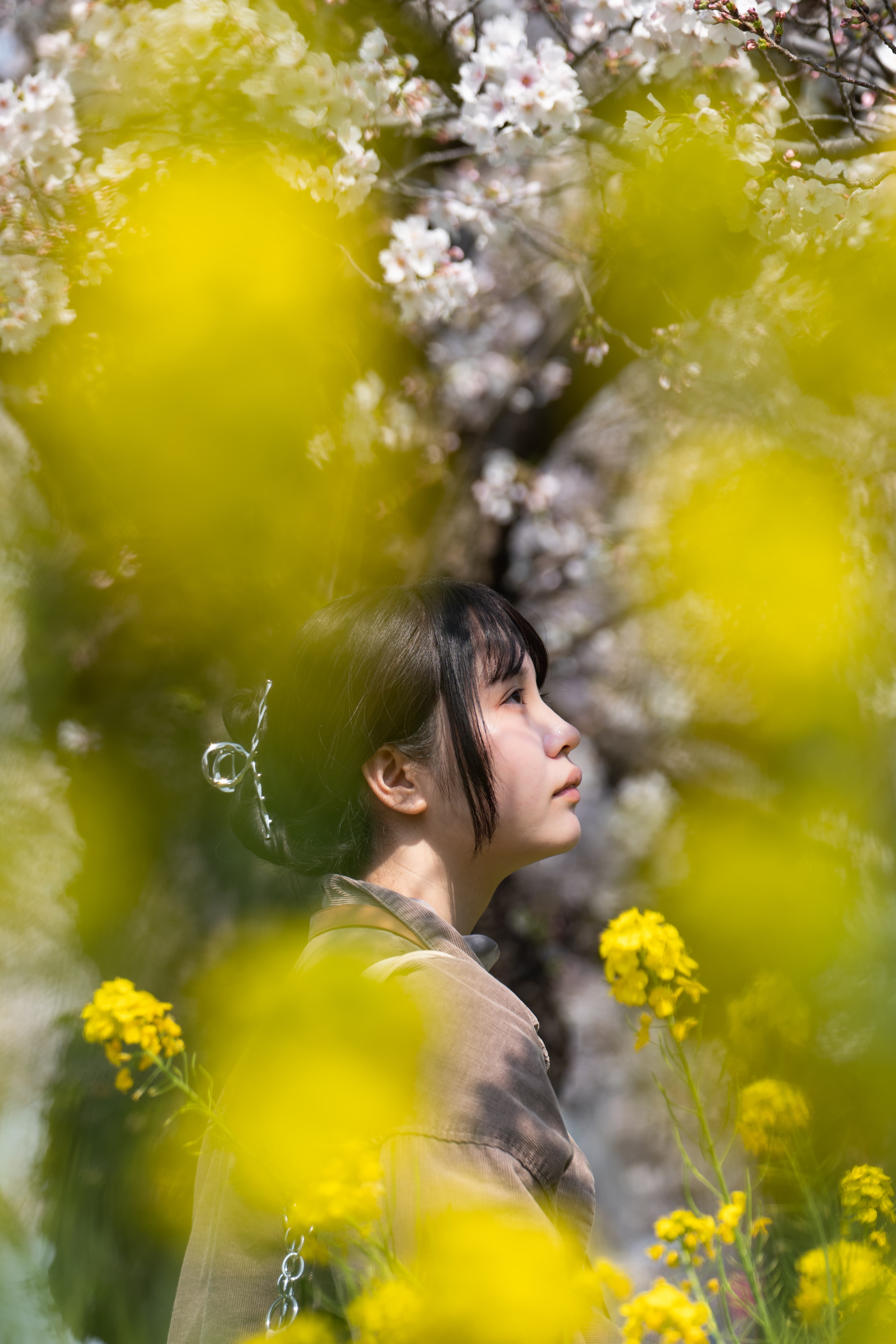 花日和